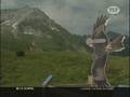 Mieux Connaitre Les Oiseaux Des Montagnes [hautes-pyrénées