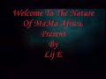 Mama Africa