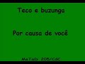 teco e buzunga - por causa de voc�