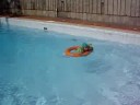 080830(1) - swim