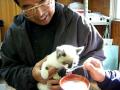 きなはいや　今日の白井さん「直売所に迷い込んだ子猫を紹介」