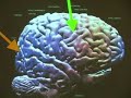 Hacking the brain by predicting the future and inverting...