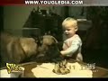 Funny Videos Collection 01