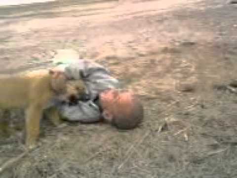 vedio