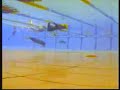 AIDA World Championships 2007 - DNF Finals (Weman) - Natalia Molchanova
