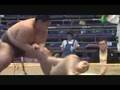 Sumo Falls - A Compilation of Sumo Falls, Tumbles, & Throws