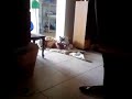 morning shower