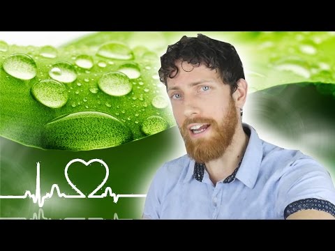 Speculative fiction definition and examples picture