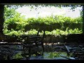 平和寮　Memories OF HEIWA Dormitory