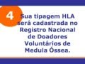 Doação de Medula Óssea