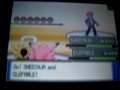 NintendoSword's Pokemon Platinum Wi-Fi Match 85 Frontier team Vs ShadowLuigi1394