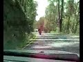 MV Agusta beaten by Harleys