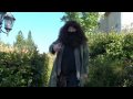 Harry Potter - Rubeus Hagrid PSA
