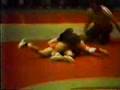 Gene Mills v. Randy Willingham 1981 NWCA ALL-Star
