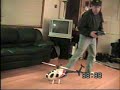 t rex 450 sa with 500E fuselage by Align