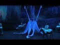 Cavalia celebrates horse-human ties