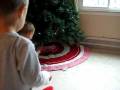 videos de boys decorate the tree