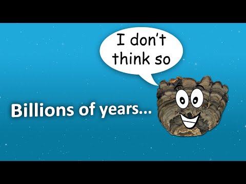 No evolution for 3.5 billion years??? – creation.com
