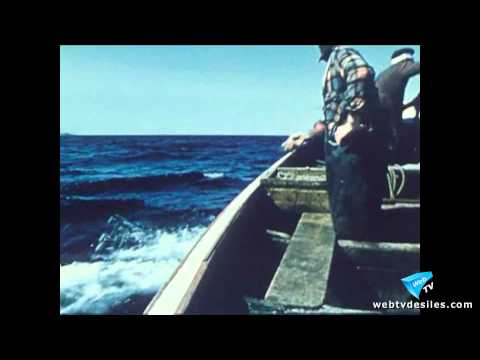 Regardez cette vidéo Regardez cette vidéo