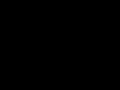 Zune Movies - Zune Music - Zune tv shows - Zune Games