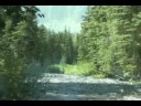 Aspen Land for sale - Brent Waldron