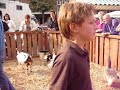 cute pets