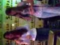 Video009[1]