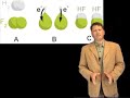 Ch6 - Disadvantaged Pathogens