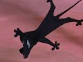 1O1 Dalmations P8 1O1 Dalmations P8