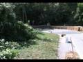 COURSE CAISSE A SAVON 208 COURZIEU ( 69 )