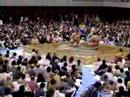 Fujieda Sumo