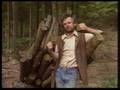 Andy Goldsworthy 1987 Grizedale