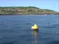 videos de May 15 2009