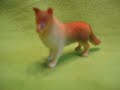 TAZ Pet Vacations: Collin's Intro