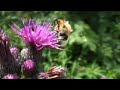 creativer unsinn - Hindelang creativer unsinn - Hindelang