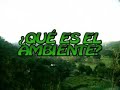 Educación Ambiental