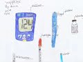 Drawing Diabetes: Diabetes Through the Eyes of Children