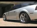 2000 Vortech mustang cams