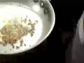 Green Catering Challenge Episode 1