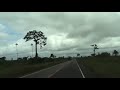 Amaz�nia: de Galvez a Chico Mendes - para Brasil�ia
