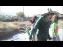 Green Bandito