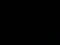 videos de noi non ci facciamo compagnia