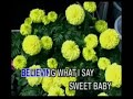Sweet Baby-Videoke