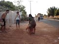 AMIGOS LOUCOS DE MAIS!!!