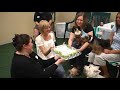 Birthday Dogs at Yorkie Meetup