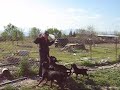 Nikola Gramatikov na gosti vo ALFA-TIK Nikola Gramatikov na gosti vo ALFA-TIK