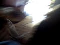 gypsy 5