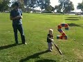 2 year bday party - Jake with the Piñata