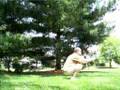 EXERCISES FOR ALL SEASONS: Embrace Tree