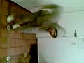 El mono y su chuntaro